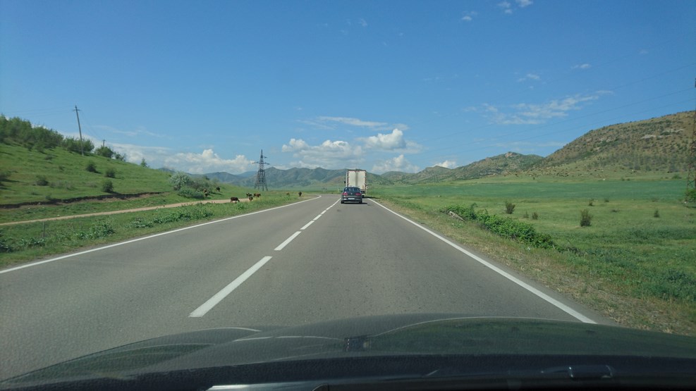 DSC 0614