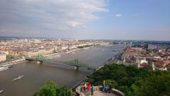 dima8