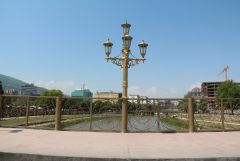 IMG_9976.JPG