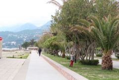 IMG_1011.JPG
