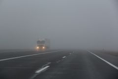 IMG 8554