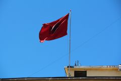 IMG 0579