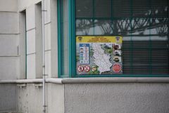 IMG 9271