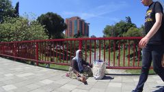DSC02397