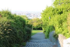 IMG 8880