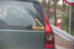IMG 8686