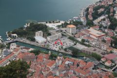 IMG_1241.JPG