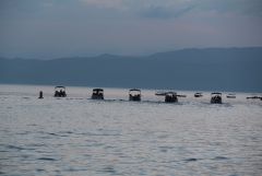 IMG 0494
