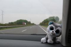 IMG 8970