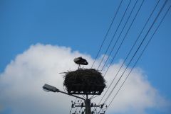IMG_2108.JPG