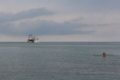 IMG_1009.JPG