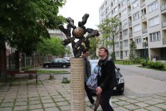 IMG 9161