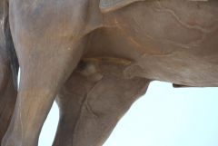 IMG_0218.JPG