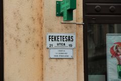 IMG 8992