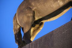 IMG 9917