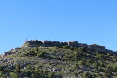 IMG 0752