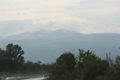 IMG 0310