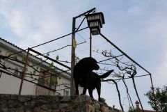 IMG 0399