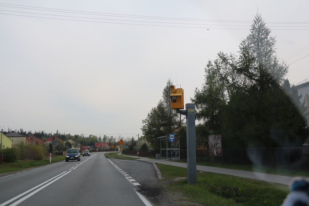 IMG 8694