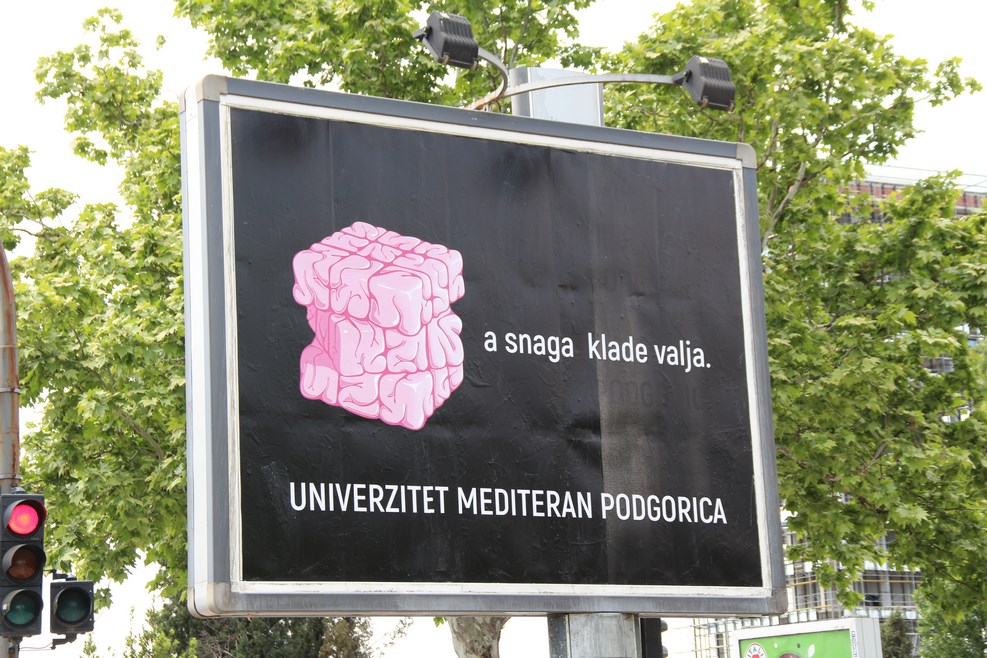 IMG 0916