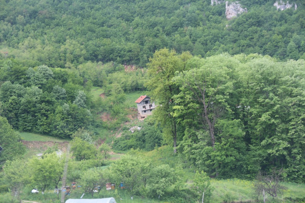 IMG 1950