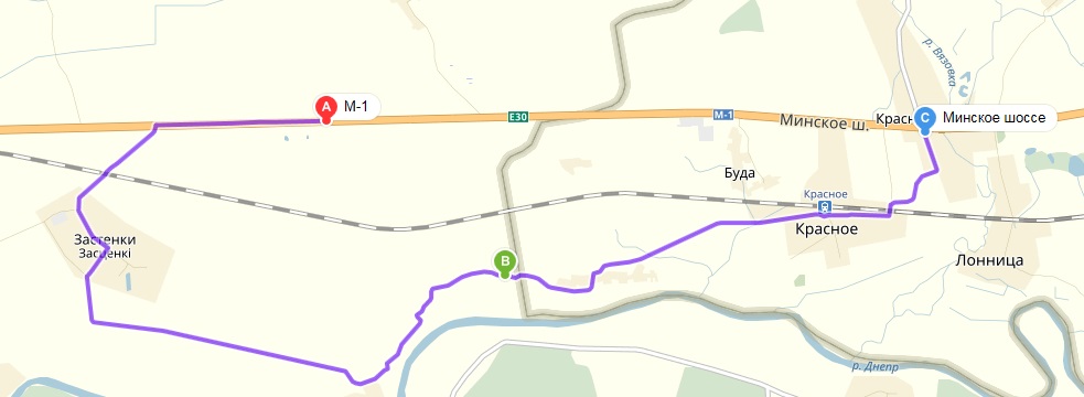 ris1