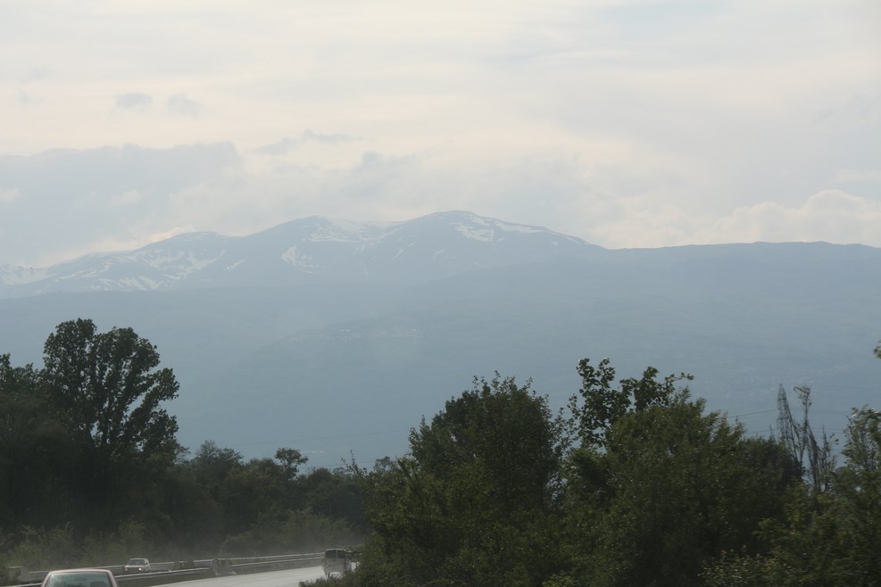 IMG 0310