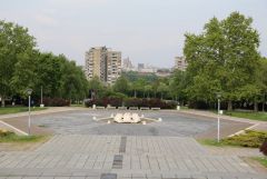 IMG_9831.JPG
