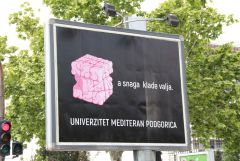 IMG 0916