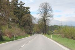 IMG_2086.JPG