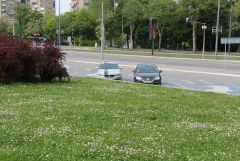 IMG_9846.JPG