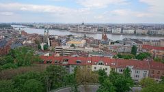 dima7