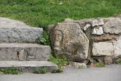 IMG 9746
