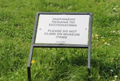 IMG 9772