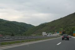 IMG 1919