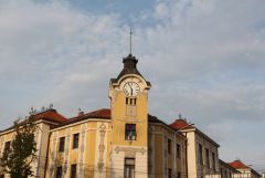 IMG 9872