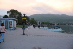 IMG 0480