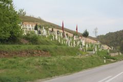 IMG 0339
