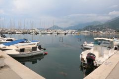 IMG_0980.JPG