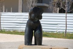 IMG 0701