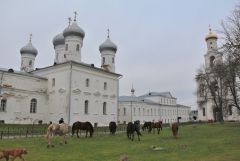 IMG 0764