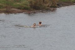 IMG 0694