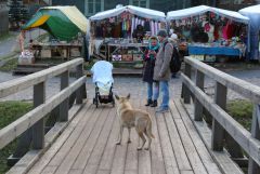 IMG_0287.JPG