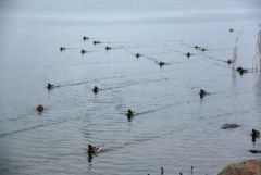 IMG_0842.JPG