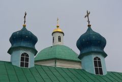 IMG 9958