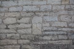 IMG 0465