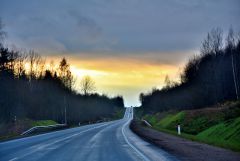IMG_9685.JPG