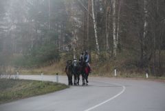 IMG 9894