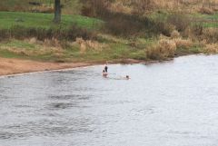 IMG 0690