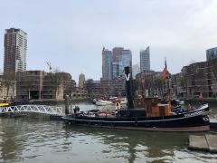 IMG 0662